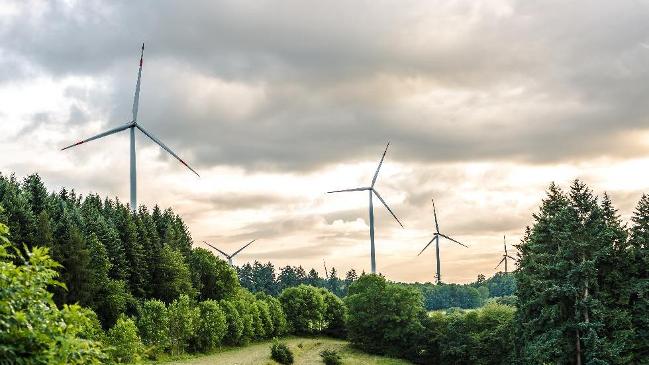 „Bürgerenergiegesellschaften“ bei Windenergie an Land